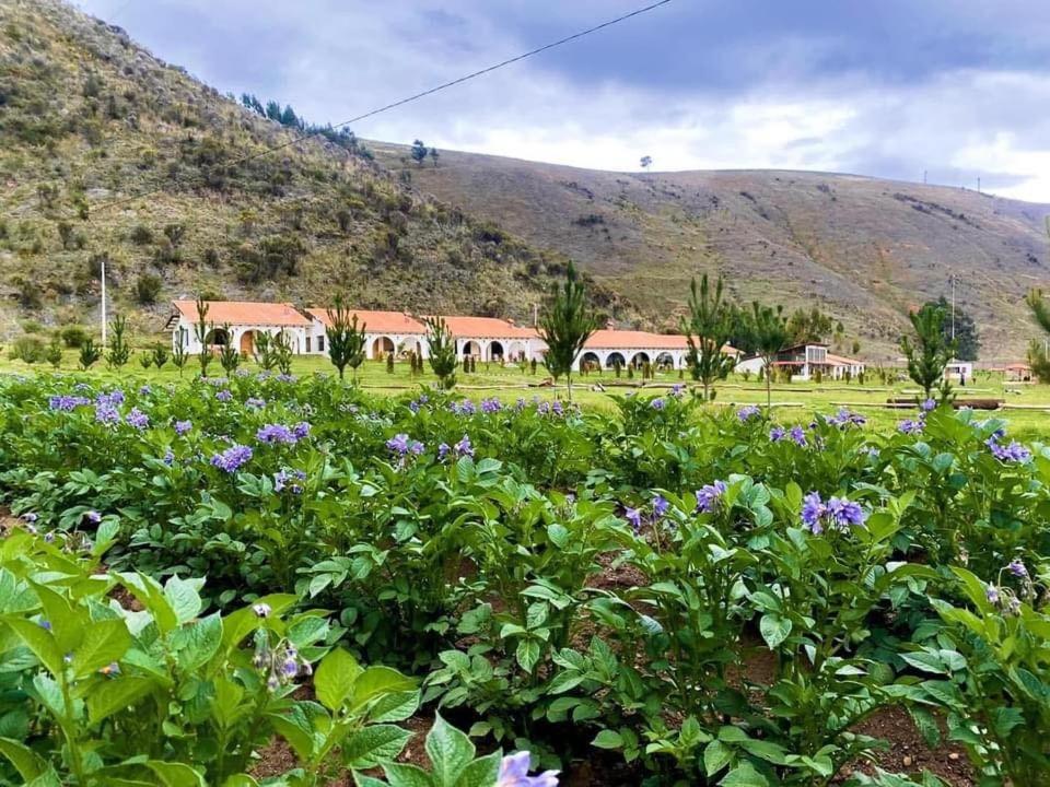 B&B Jauja - Fundo Alma Andina - Bed and Breakfast Jauja