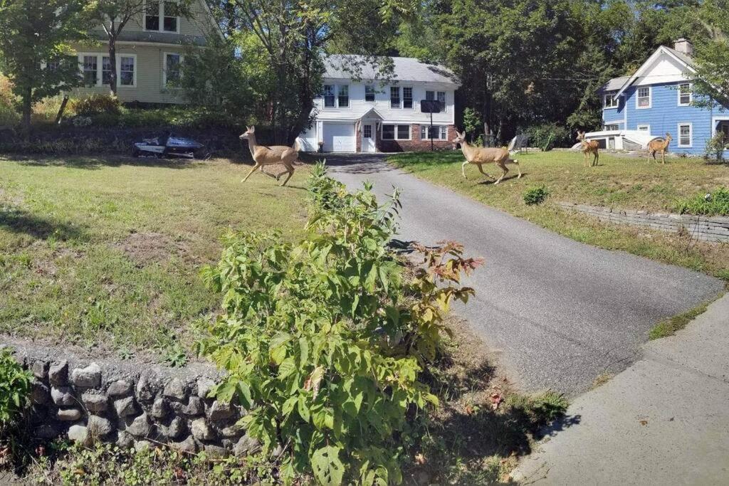 Robin's Nest Charming Whole House Rental - B&B