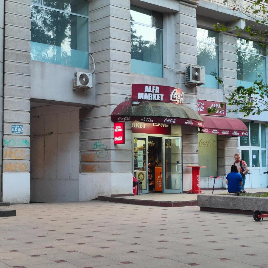 CITY CENTER Bulevard Unirii SPACIOUS Apartment - B&B Bucarest