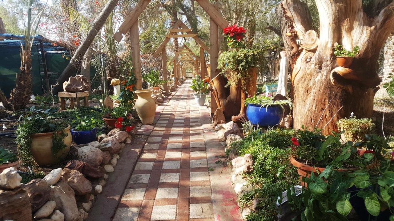 ערבה גארדן Arava Garden - B&B