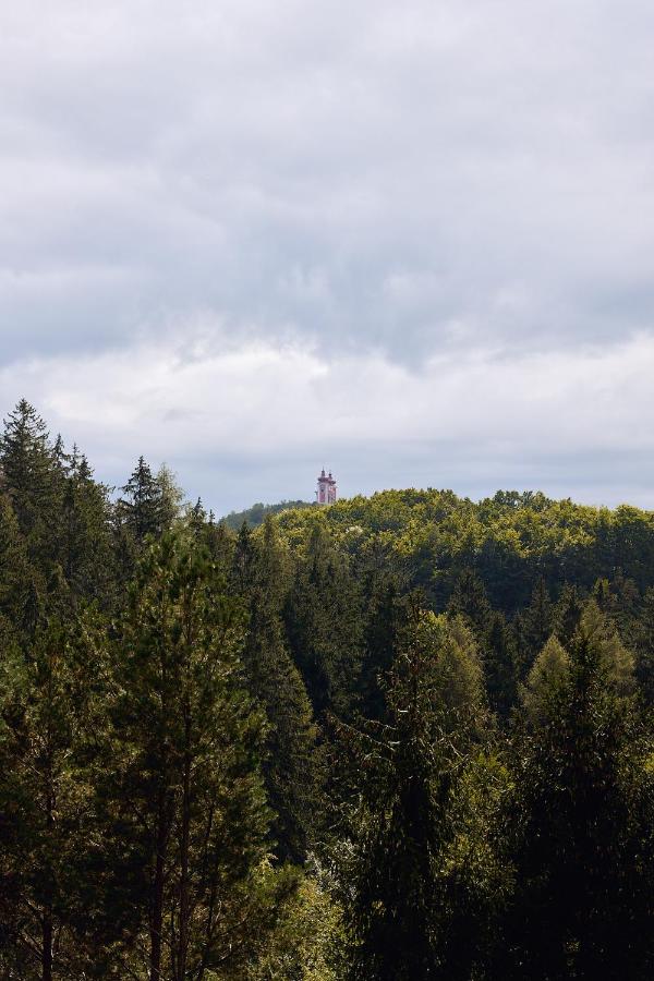 Chata Scheelit - B&B