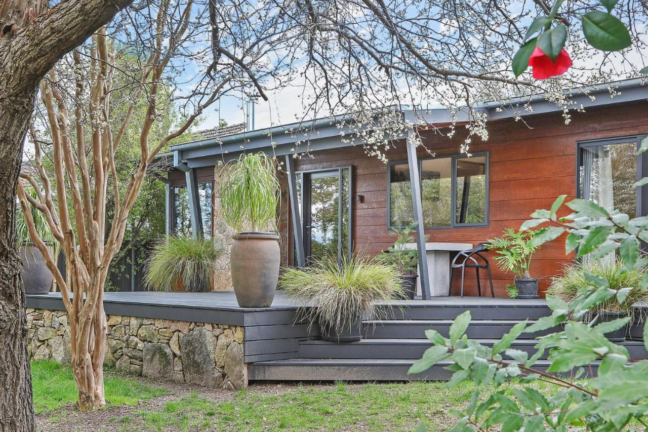 Millie & Pips Beechworth Bungalow - Ferienwohnung