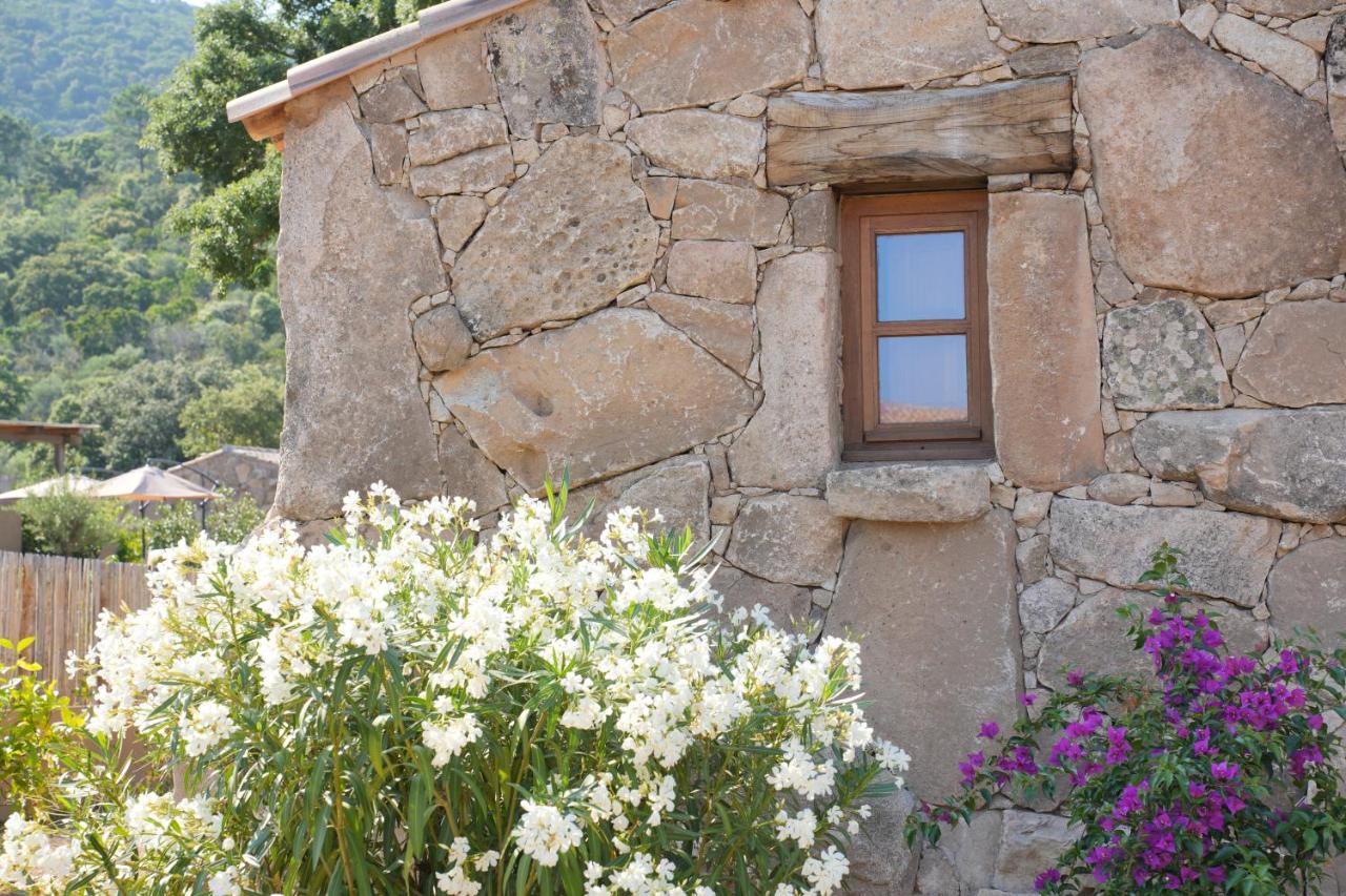 Résidence Vista Blu - B&B Conca