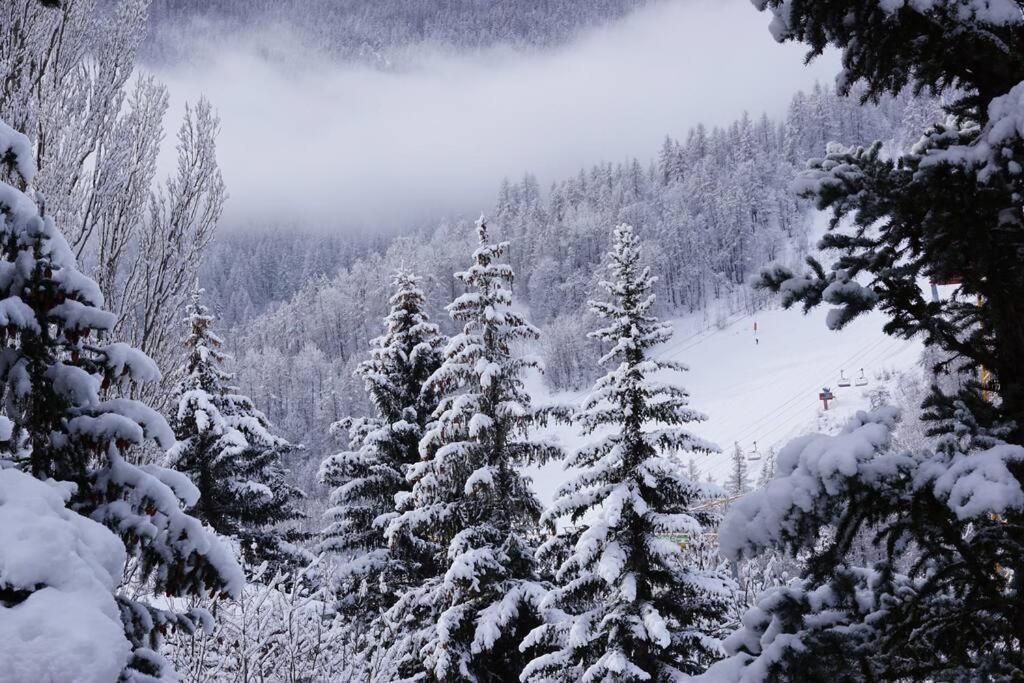 Serre chevalier,Chantemerle,T2 proche pistes - Bed and Breakfast Saint-Chaffrey