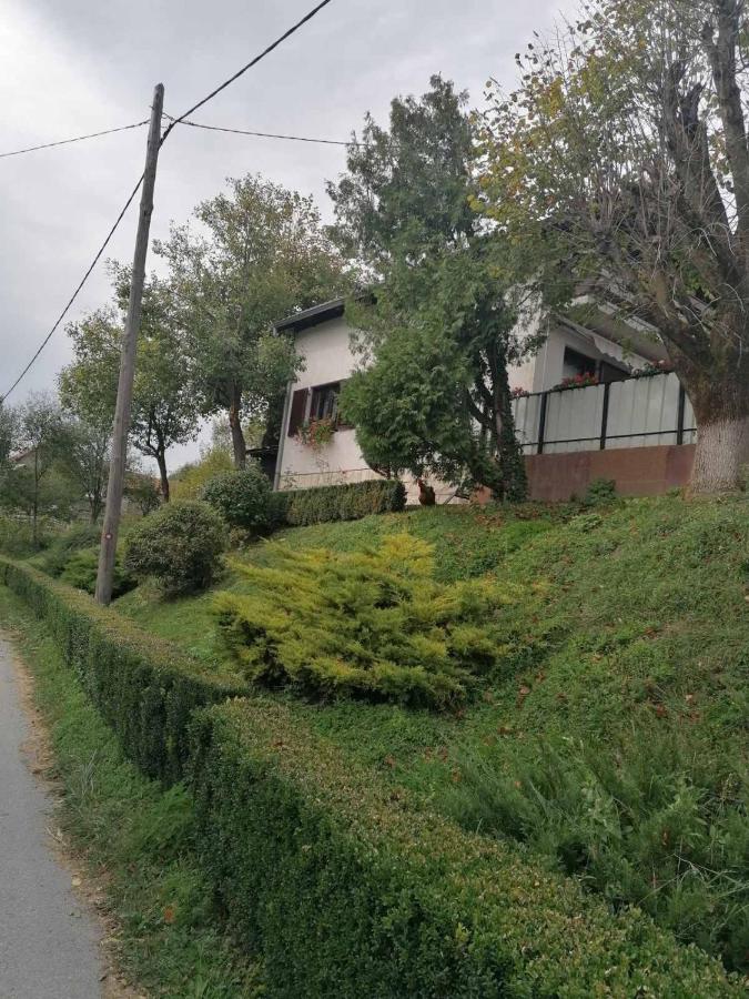 Studio Apartman Barbara - Bed and Breakfast Josipdol