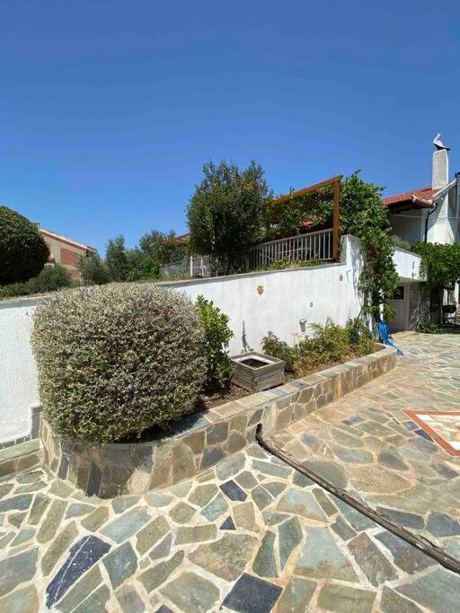Seafront cottage in Chalkida - 60min from Athens - B&B