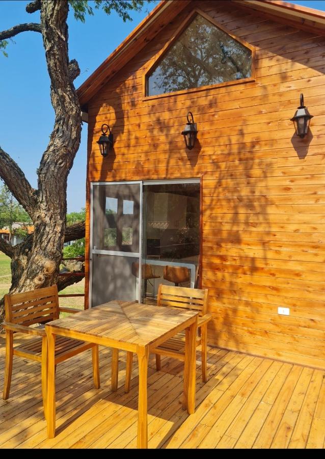Haasienda - Nido del Loro - Casa de Arbol - B&B