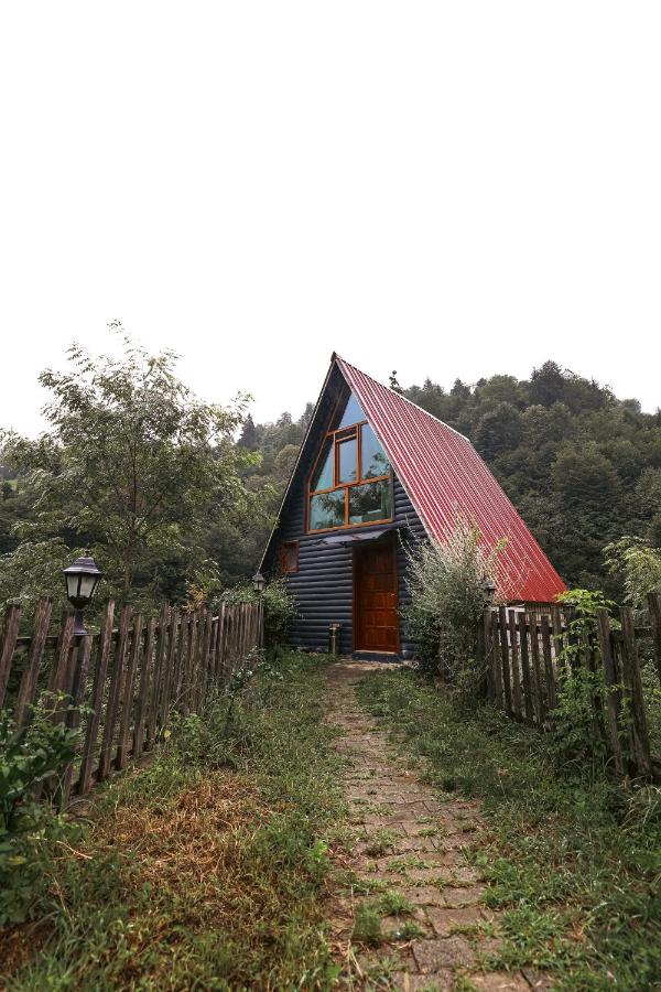 Deluxe Bungalow