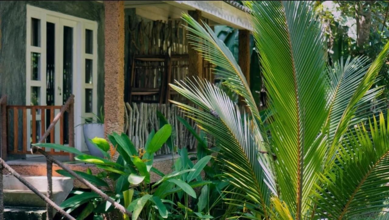 Into The Blue - Yoga included & walk to 3 beaches - B&B