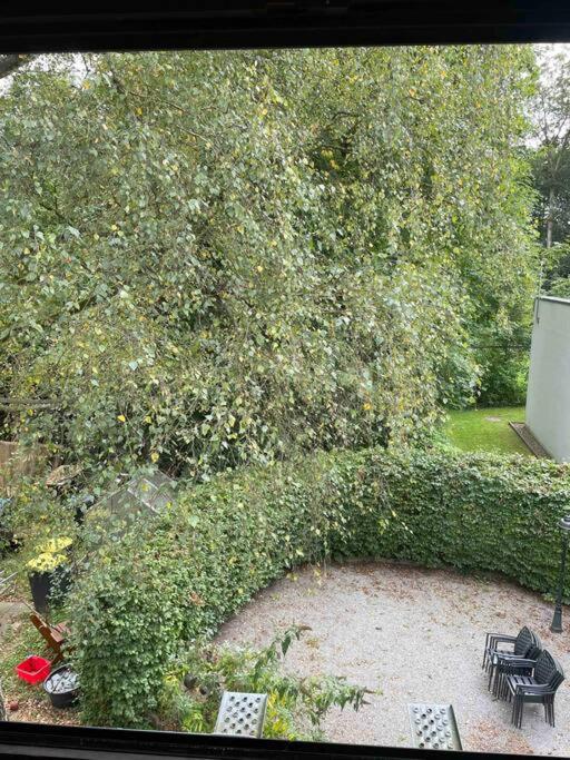 Appartement im Schildescher Ortskern - B&B