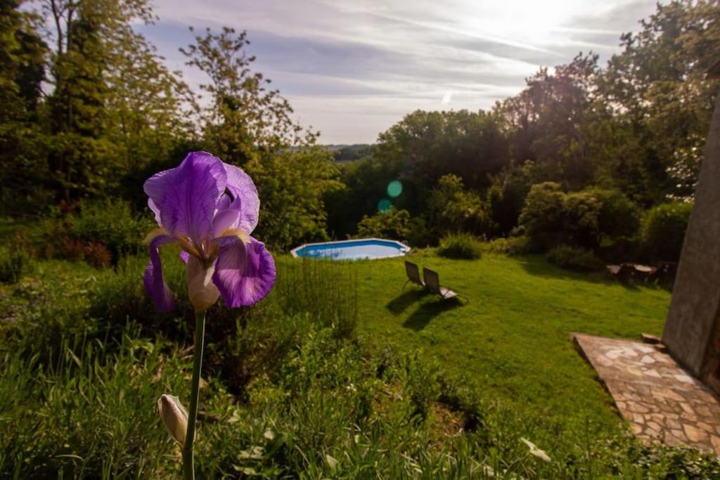 Appartamento con piscina e giardino - Olivo - B&B