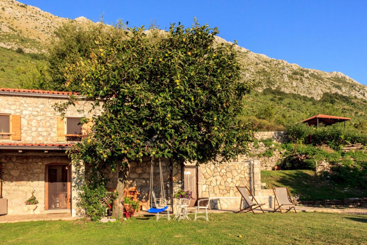 Old stone house with swimming pool Etno House Perazic - B&B Bar