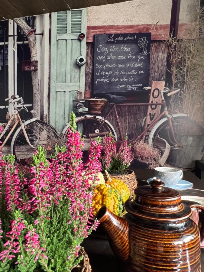 Malinowa Chatka - B&B Jankowice