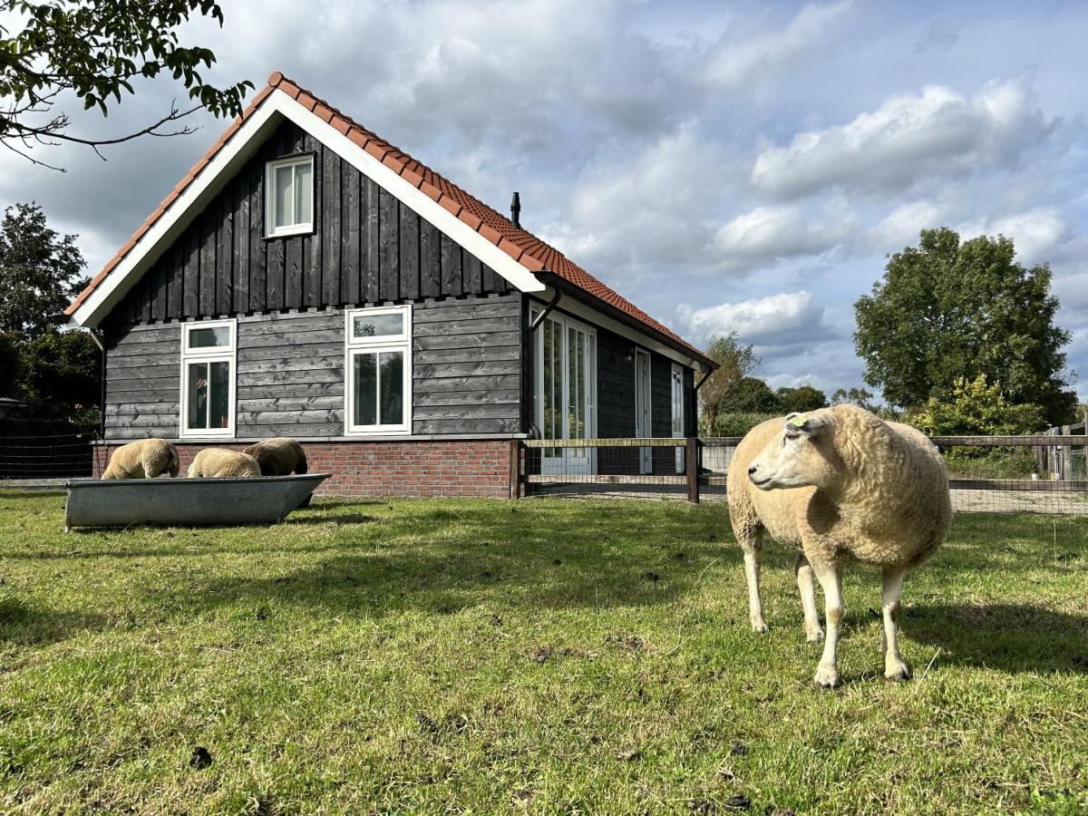 B&B Emst - Geldersche tuin 6 persoons - Bed and Breakfast Emst