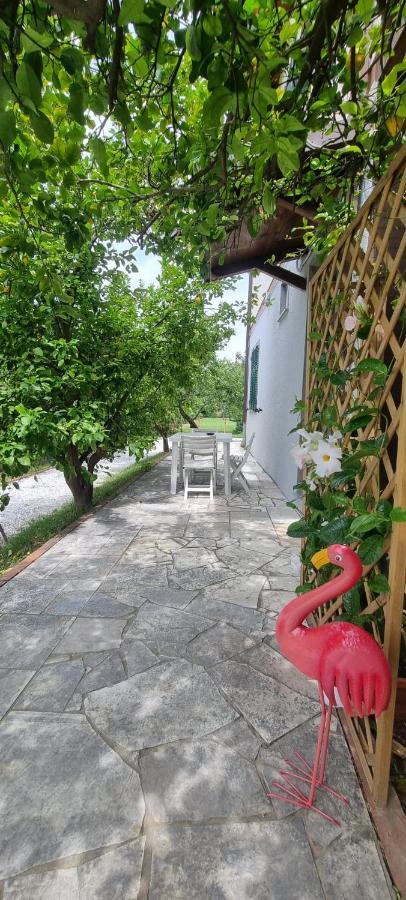 La Limonaia - B&B