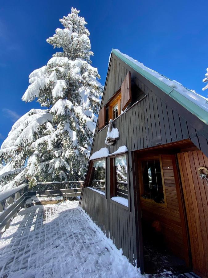 Chalet Cermis - B&B Cavalese