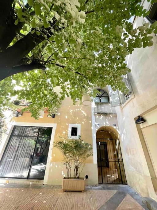Le Cosy Littré - cœur de ville - rue piétonne - B&B