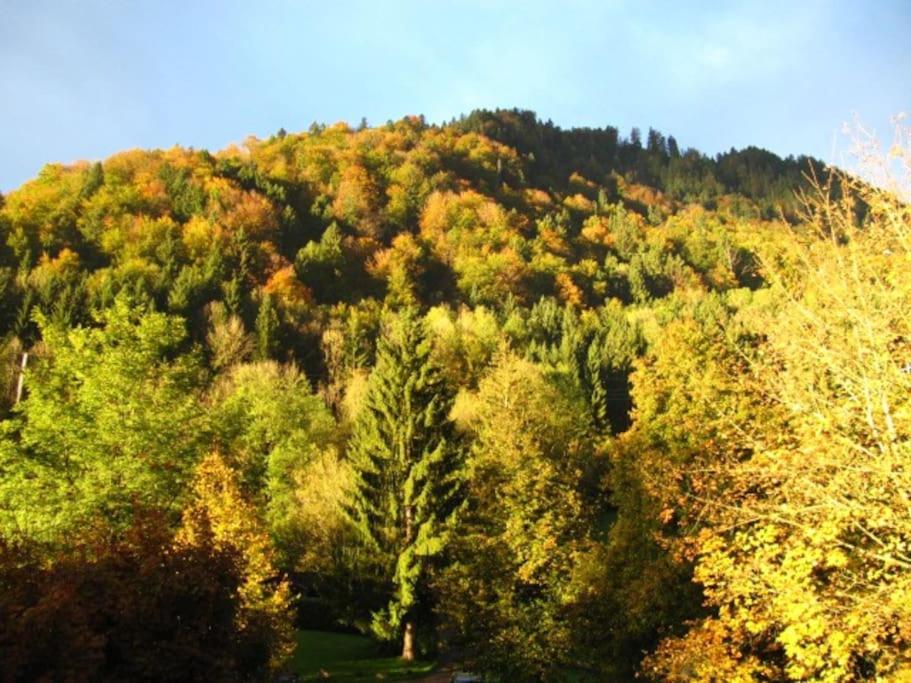 B&B Immenstadt im Allgäu - Top! Wohnung direkt am Fuß der Berge im Oberallgäu - Bed and Breakfast Immenstadt im Allgäu