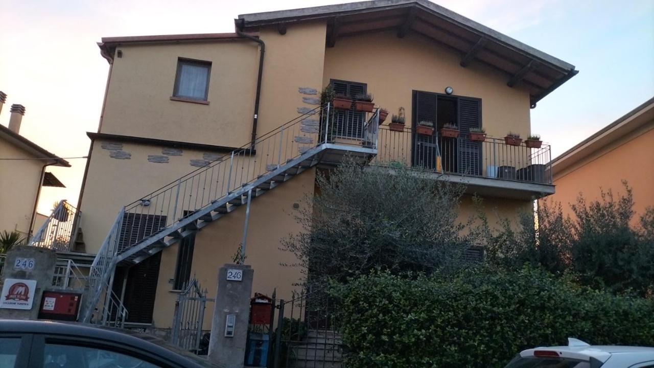 Affittacamere MADE IN PISA - B&B