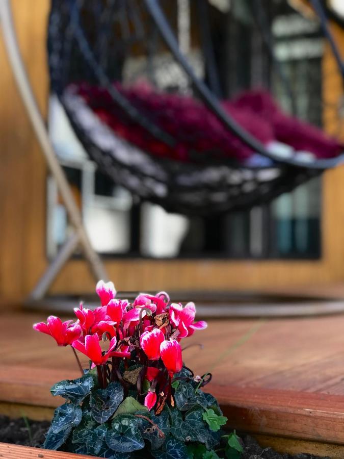 Onehunga Garden Tinyhouse with parking - B&B Auckland