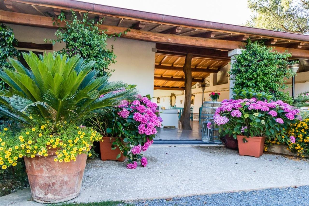 Piccolo Ranch - B&B Pula