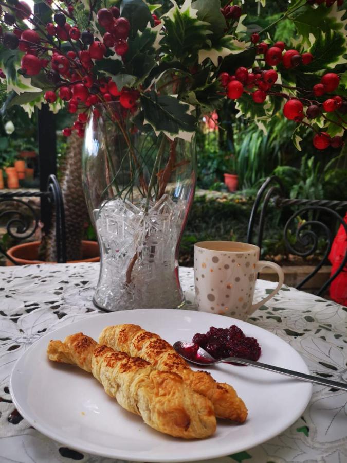 Betania Alojamiento Rural Quindío Eje Cafetero espectacular! - B&B Circasia