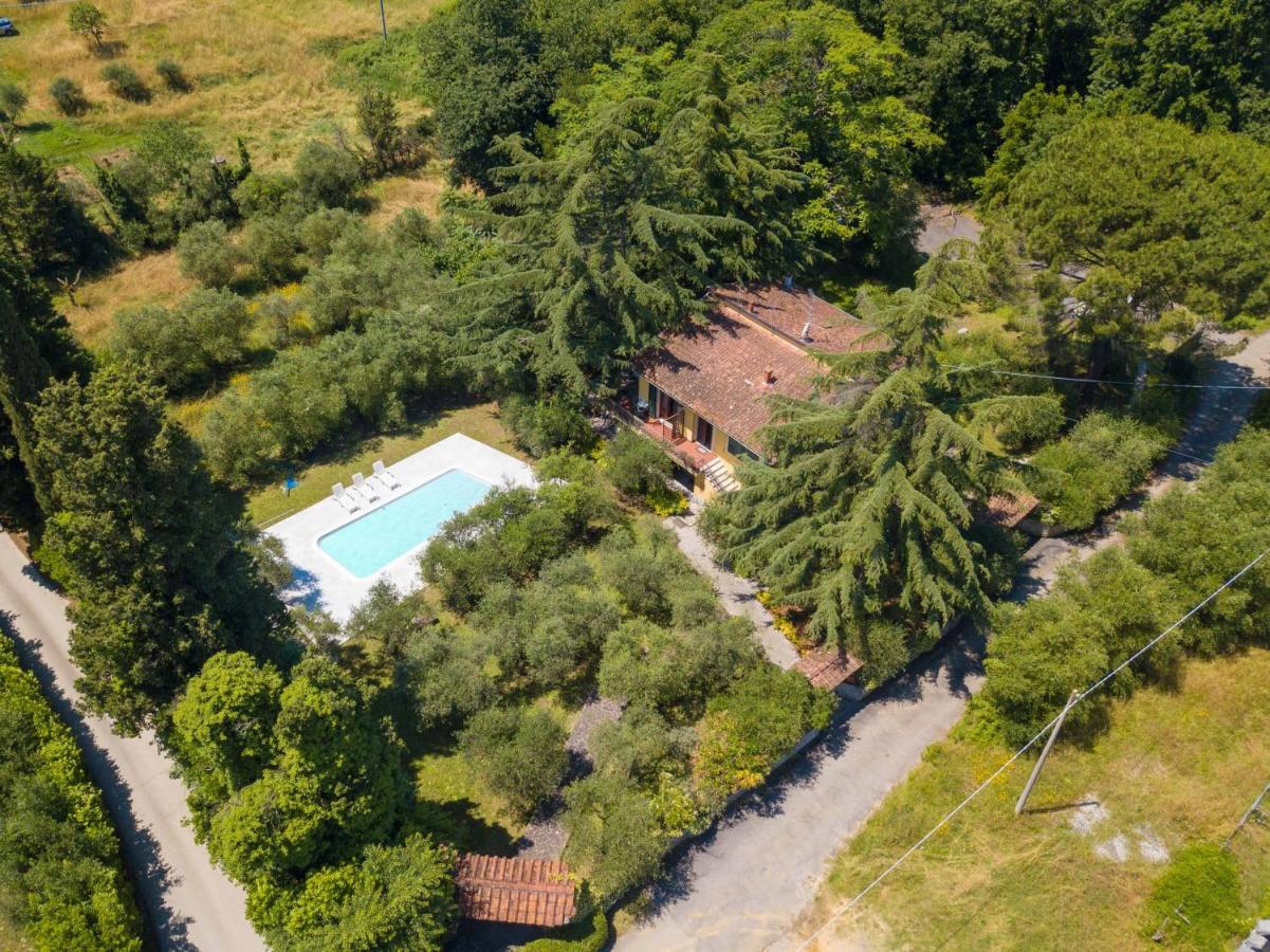 B&B Fucecchio - Villino Stregatta by VacaVilla - Bed and Breakfast Fucecchio