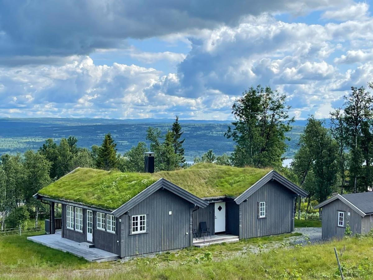 Bergestua - 4 bedroom cabin - Ferienwohnung