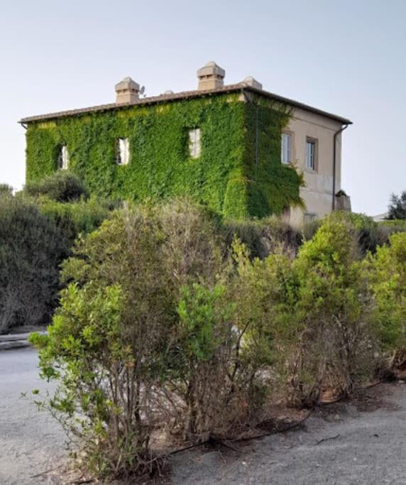 Casa Vacanze Capalbio - B&B