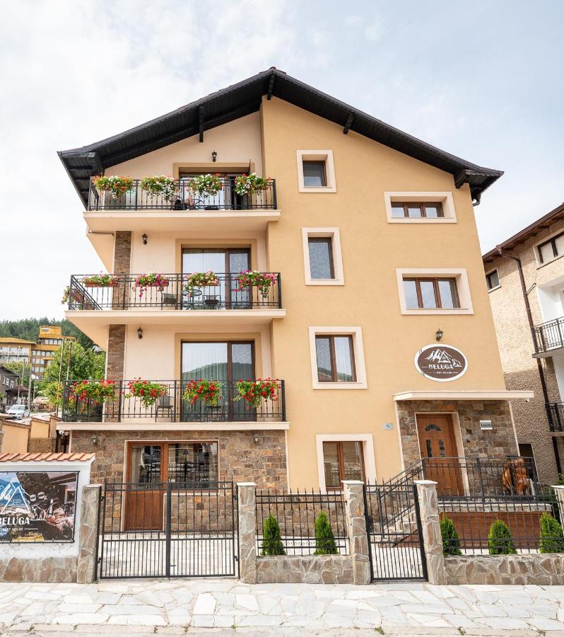 Beluga Guest House - B&B Velingrad