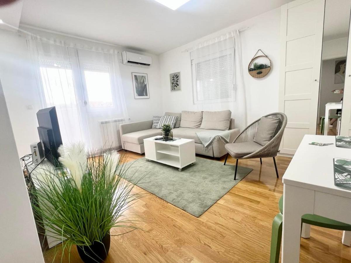 GreenCity10 - B&B Belgrado