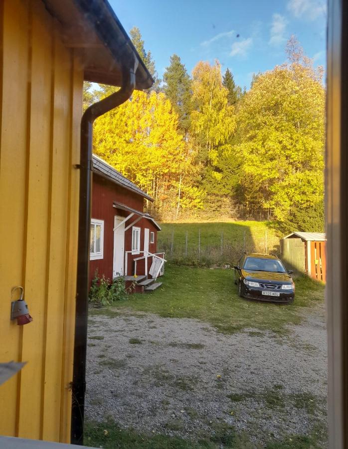 Studio with Lake View