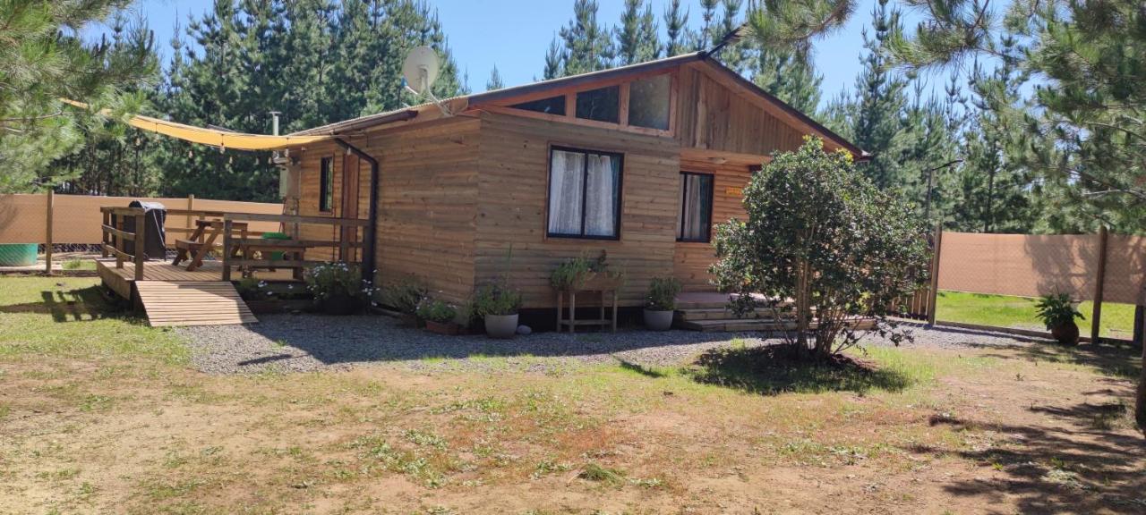 Cabañas Pinos del Mar - B&B Algarrobo