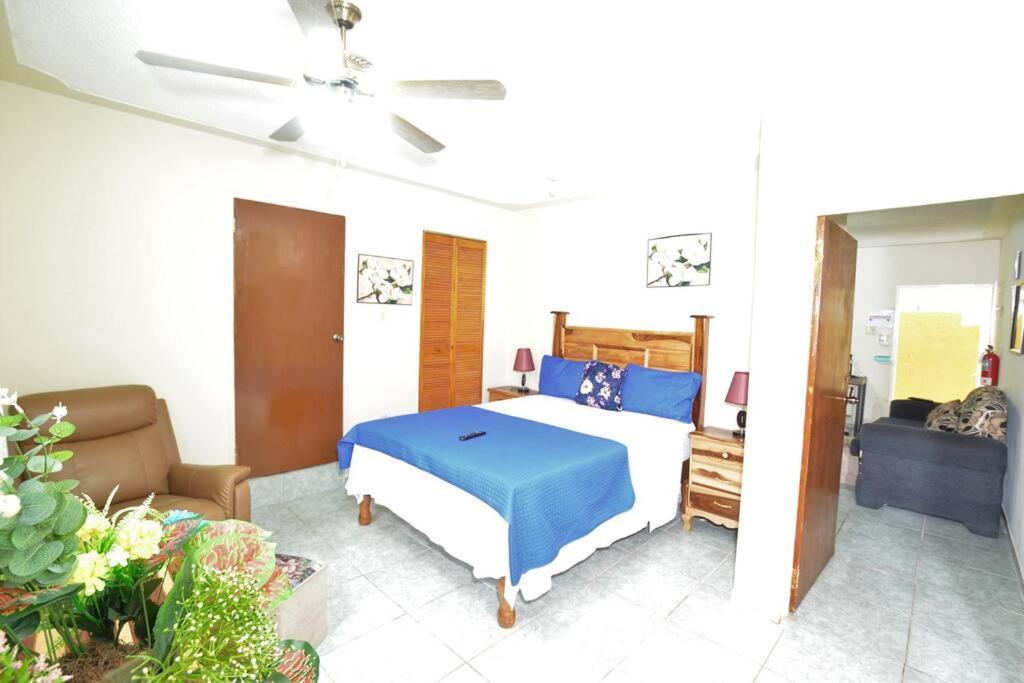 B&B Port Antonio - Cozy Locale Pearl - Bed and Breakfast Port Antonio