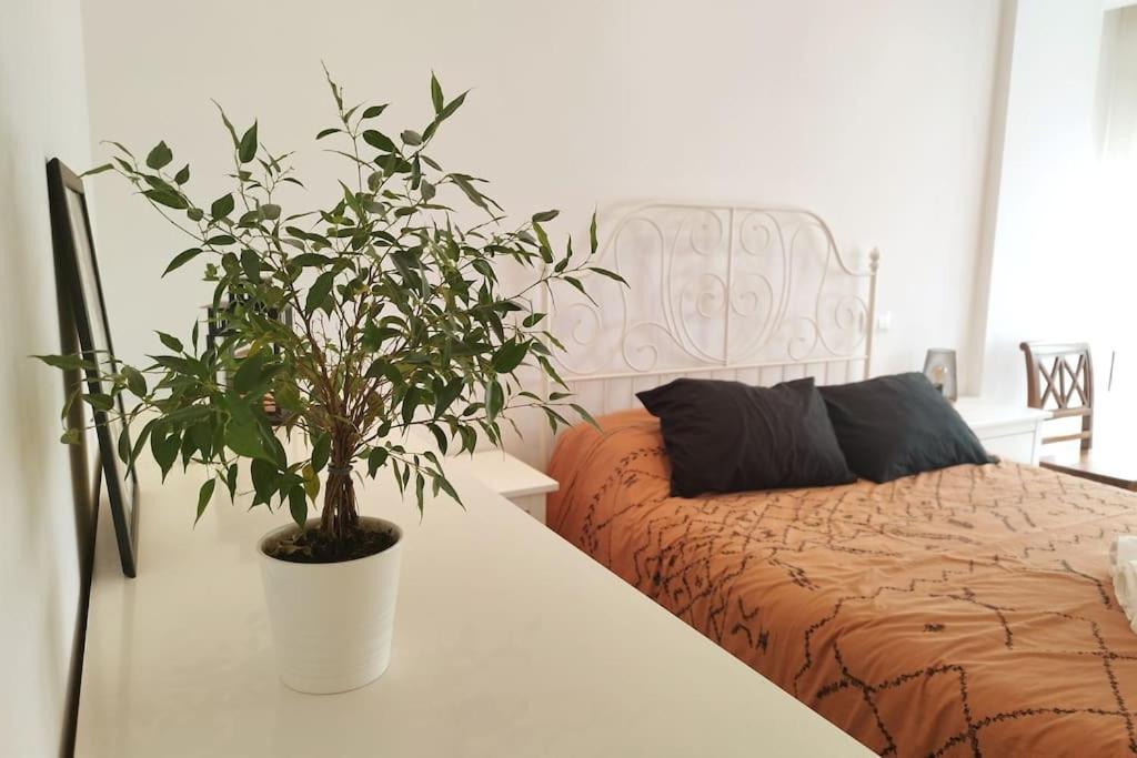 gran piso luminoso en el centro de leon - B&B León