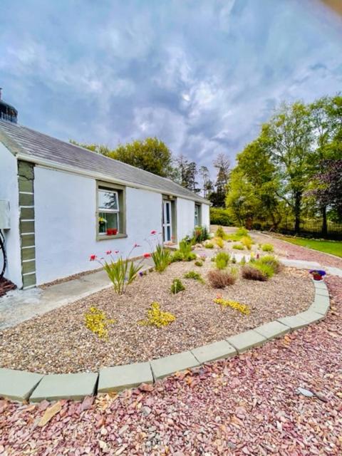 Kate's Cottage - B&B