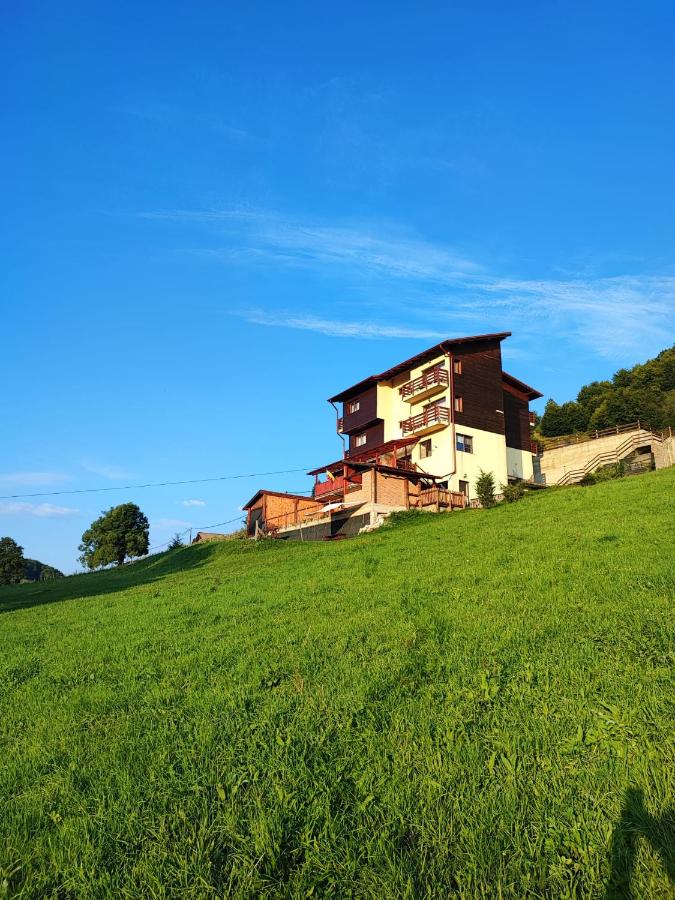 Pensiunea Daria - B&B