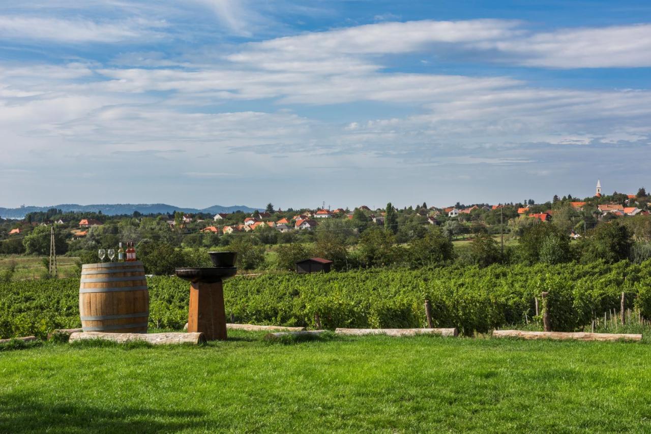 PALO Borbirtok - Bed and Wine - B&B