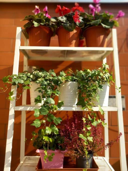 Habitación Doble con terraza