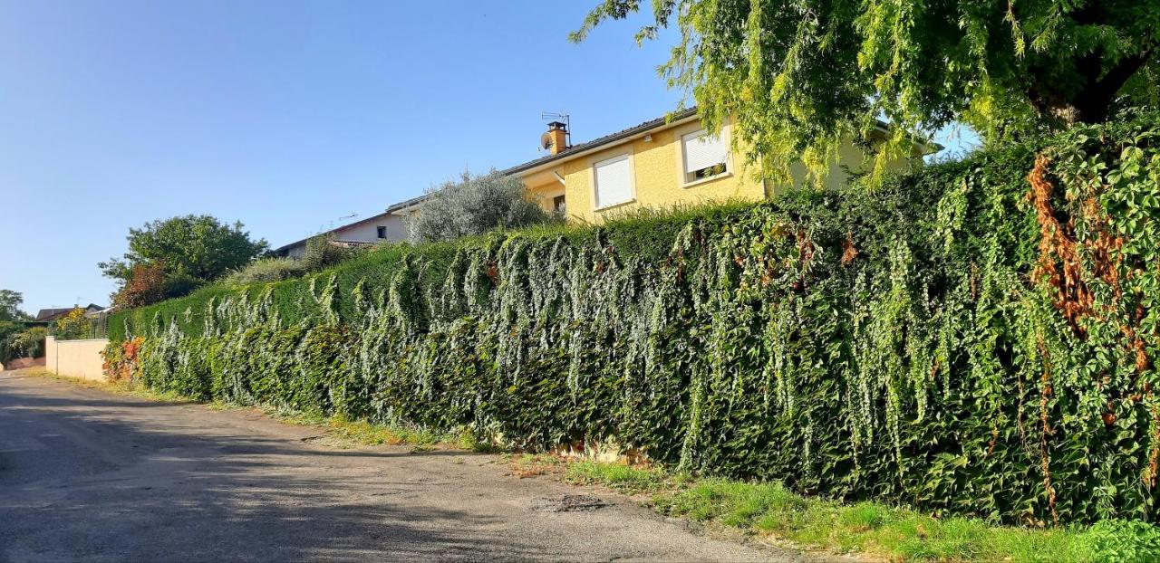 Ma maison fleurie proche AEROPORT LYON ST EXUPERY, LDLC ARENA, Groupama Stadium,Eurexpo - Bed and Breakfast