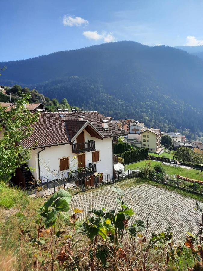 Appartamento la Regina del Lago - B&B Molveno