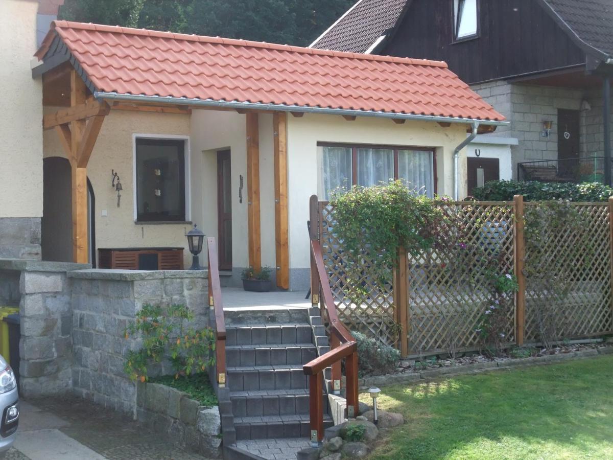 Eichhörnchen Wernigerode - B&B