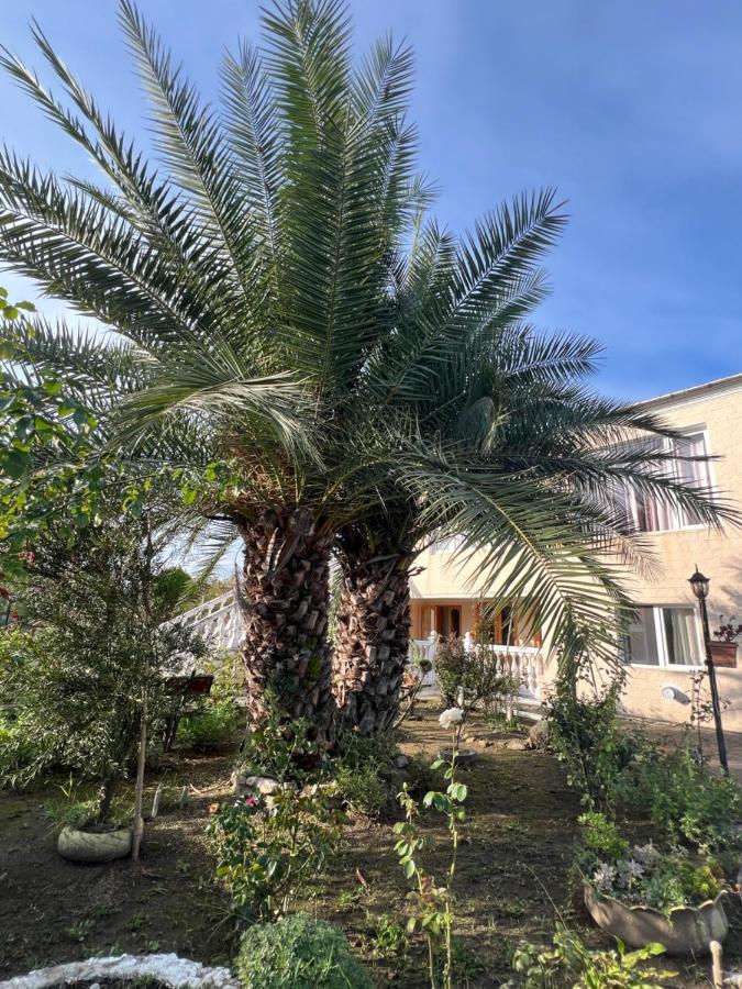 House - Kutaisi International Airport 15 Minutes- Quiet cozy house with parking - Chambres d'hôtes Samtredia