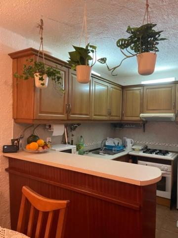 Olhao Apartment - B&B Olhão