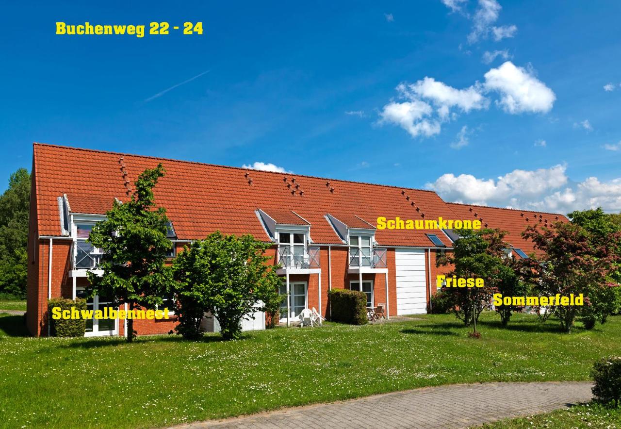 Buchenweg Schaumkrone - B&B