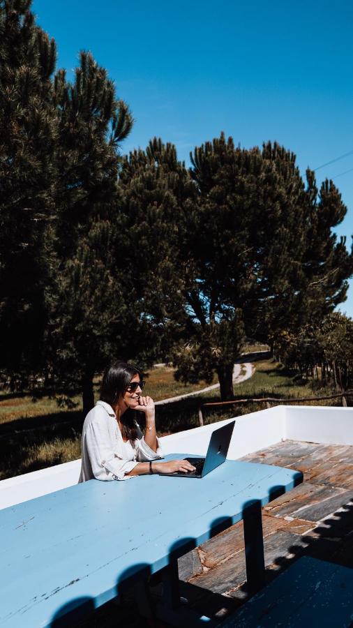 Nature Forest - Herdade de Martingil - Ferienwohnung Chouto