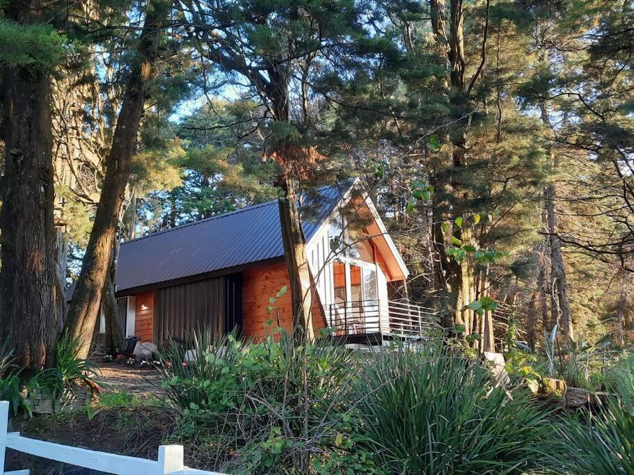 Les Chalets Costa Rica - B&B Zarcero