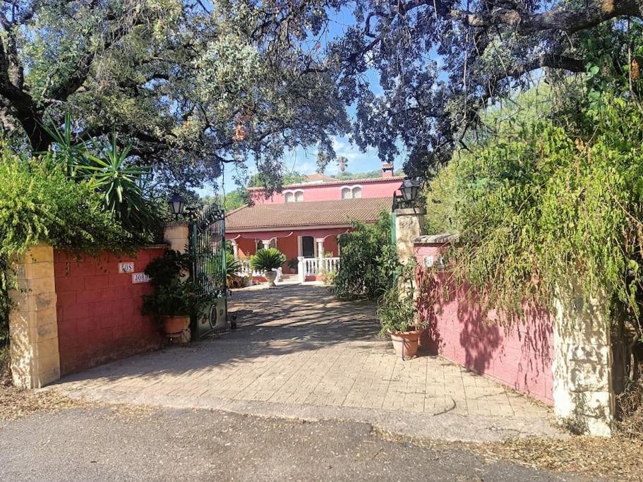 Casa rural en el campo con animales, piscina y barbacoa - Bed and Breakfast