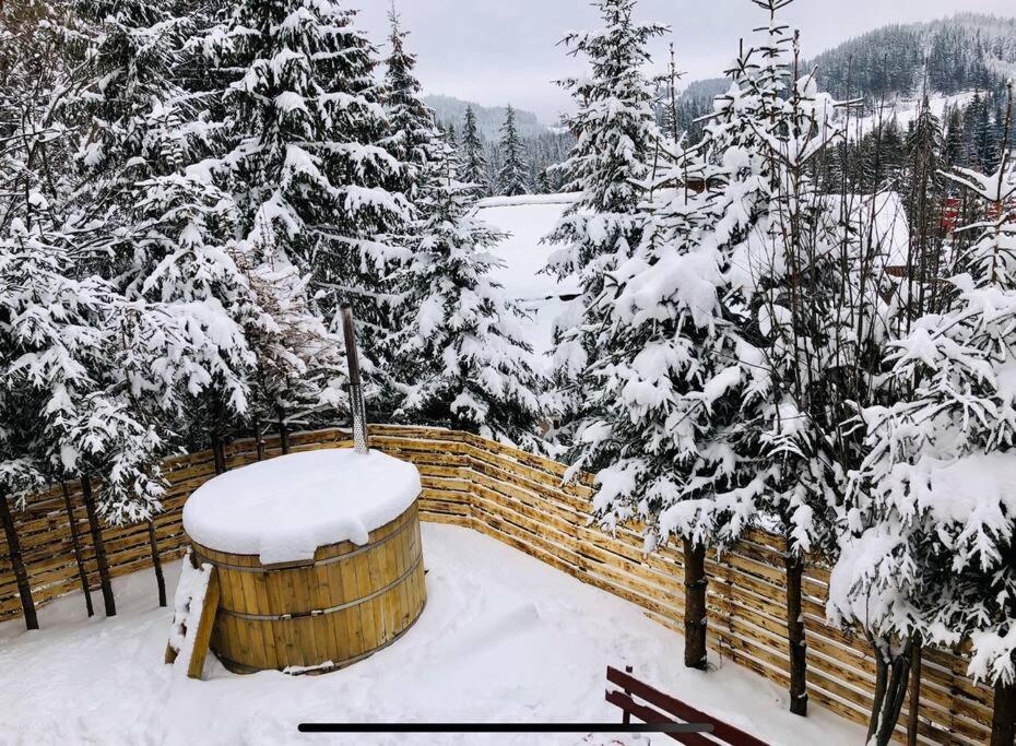 Cabana Harghita Băi - B&B