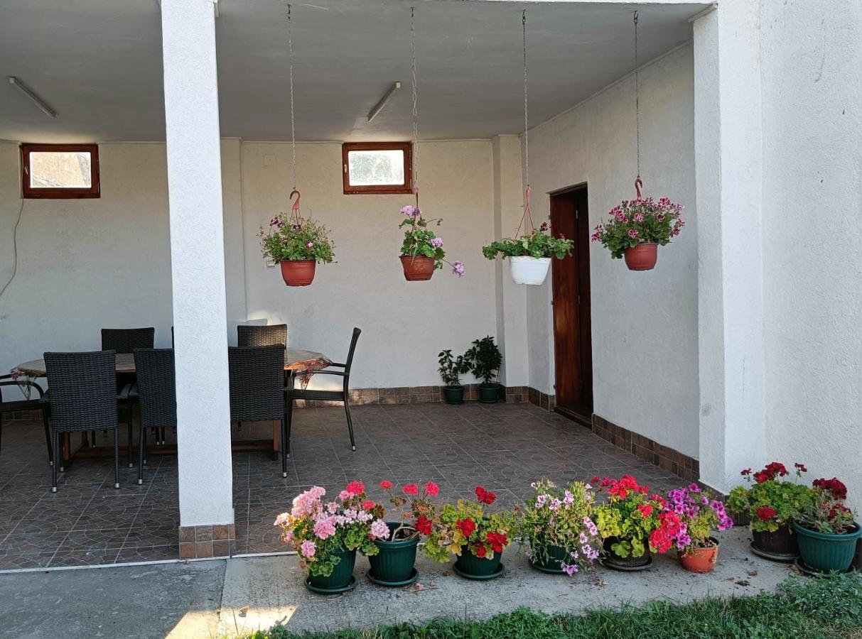 Privatna soba Dušan - Ferienwohnung